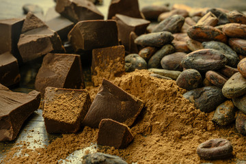 pieces of chocolate with cocoa beans lie on table