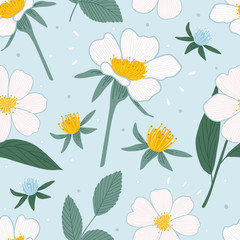 Fototapeta na wymiar Floral hand drawn seamless pattern for print, textile, fabric. Modern trendy flowers background.