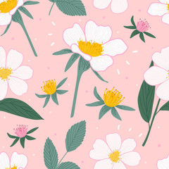 Floral hand drawn seamless pattern for print, textile, fabric. Modern trendy flowers background.