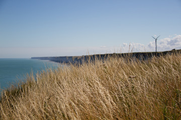 Fototapeta premium scogliera