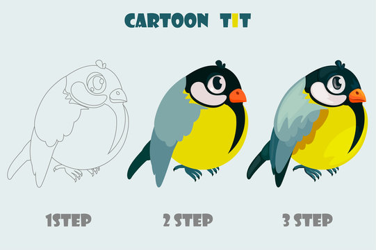 Cartoon bird Tit, isolated 3 step drawing. Vector winter bird