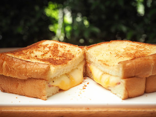 grilled cheese sandwich