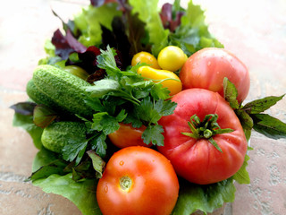 Fresh vegetables for lunch or dinner. Lettuce, cucumbers tomatoes in droplets of water. Parsley and basil.