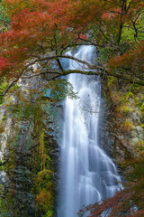 Minoo fall (Waterfall in Osaka Kansai)