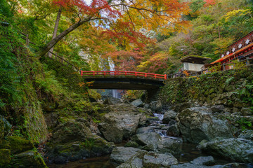 bridge in the park (Minoo fall , Japan)