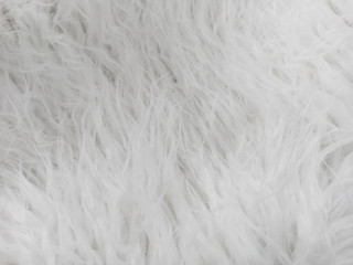 Plakat Natural white wool. Seamless texture of animal wool.