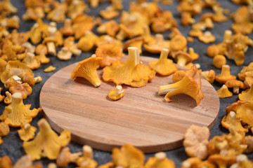 chanterelle mushrooms on a round board on a dark background