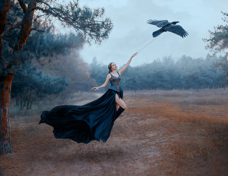 Conceptual photo of slavery and freedom. Black raven pulls woman hand in sky. Dark gothic sexy queen in luxury chic dress. Long train flutters waving in flight. Art levitation. Backdrop cold forest