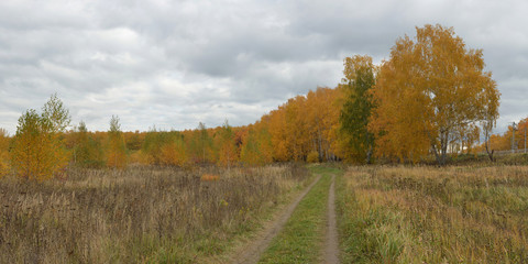 Autumn in the fields and forests. Beautiful panorama