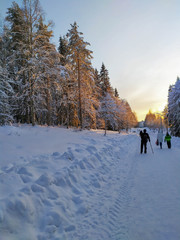 Russia.Karelia.The evening dawn illuminates the road.December.2019.