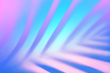 Blue tropical palm leaf shadow in trendy duotone pink neon background.