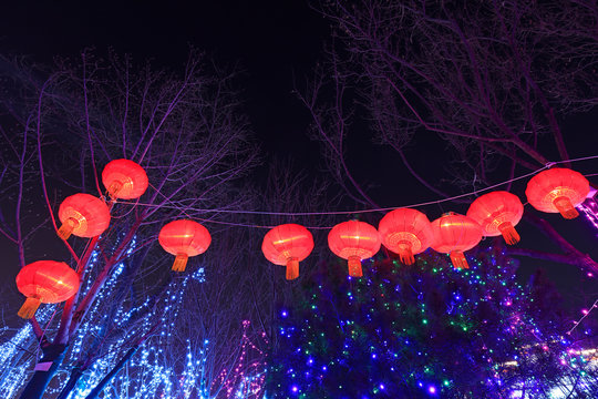 Red lanterns hang on branches in the darkness