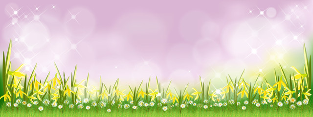 Obraz premium Vector summer nature background with daffodils, tiny daisy flowers and green grass fields. Spring background with abstract blurry bokeh light effect. Tamplate banner for Easter or Spring background