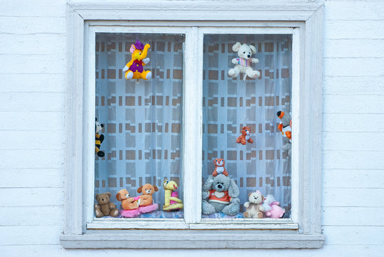 window with flowers in the garden