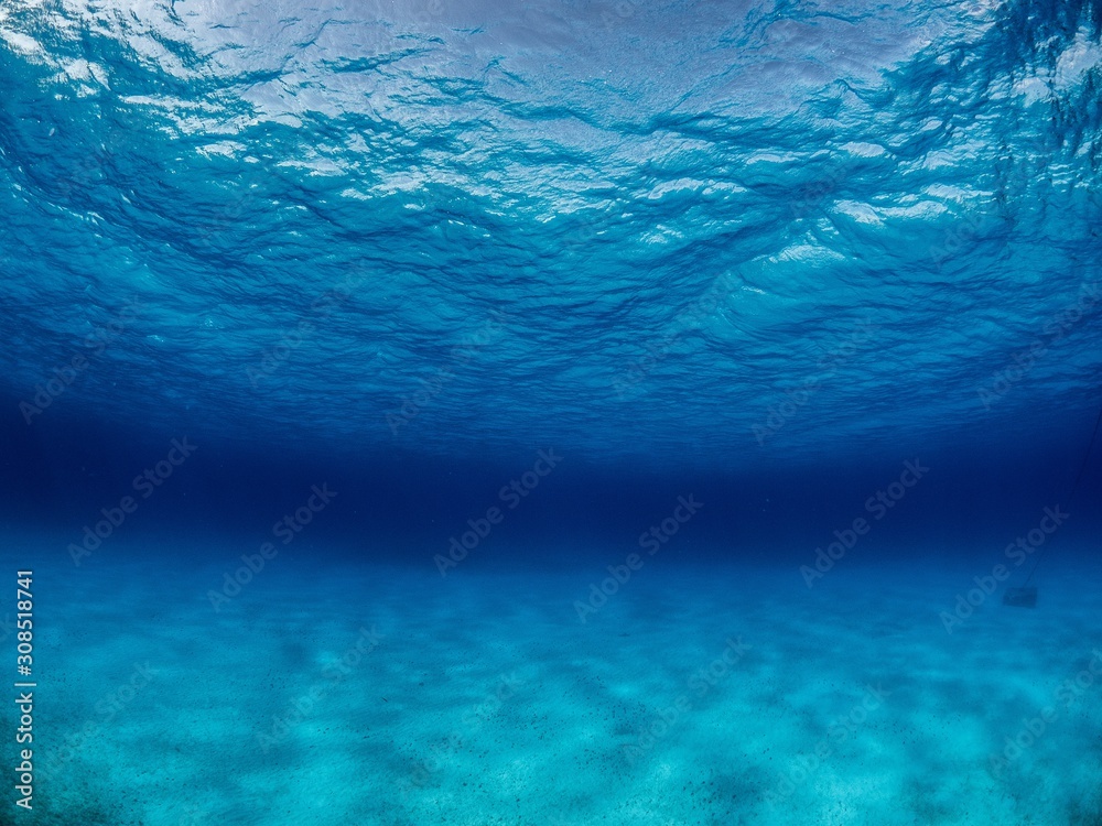 Poster Breathtaking underwater scenery of the magical world of the ocean