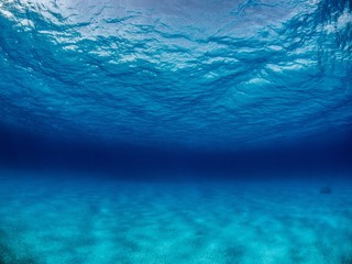Atemberaubende Unterwasserlandschaft der magischen Welt des Ozeans