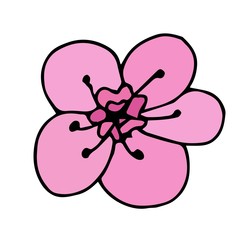 Cherry flower icon, vector fruit illustration isolated on white background, flat fresh beauty flowers.