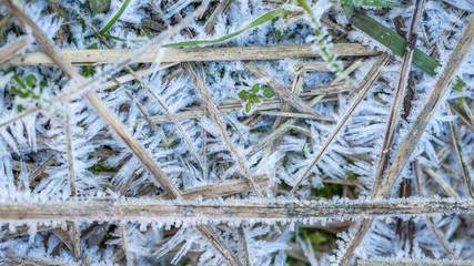 patterns of frost on the grass