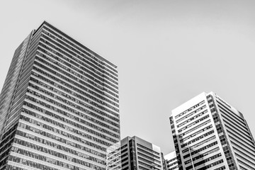 Skyscrapers in Downtown Calgary in Black and White