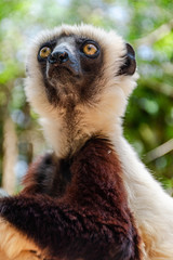 Madagascar