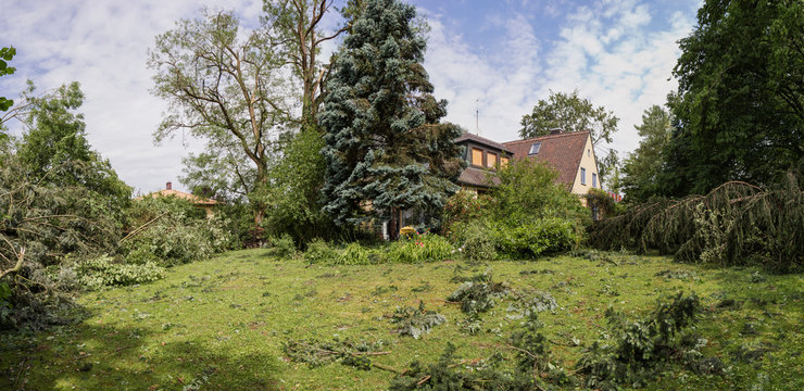 Storm damage in a garden of a family home