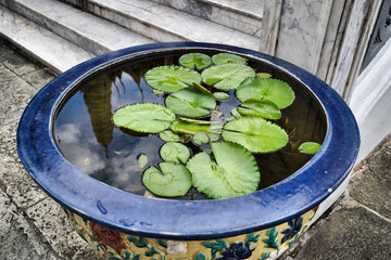 Lily pads in water in a decorated, traditional Thai pod with the reflection of one prang (tower) of...