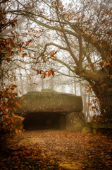 La Roche-aux-Fees (the fairies’ rock) in Brittany, France, is regarded as Europe’s best...