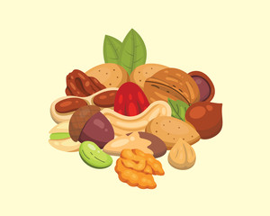 Set vector icons nuts in cartoon style. Nut food collection. Peanut, hazelnut, pistachio, cashew, pecan, walnut, brazil nut, almond and acorn