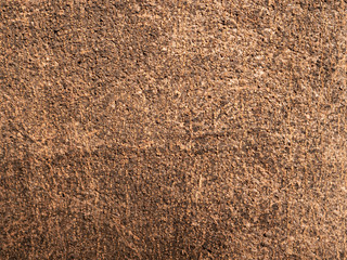 High resolution, Tree bark texture.