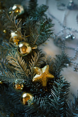 Beautiful emerald blue Christmas tree branch with golden sparkling ornaments, Christmas tree decor, close-up, selective shallow focus
