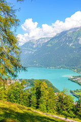 Turquoise Lake Brienz in Interlaken, Switzerland photographed from the hiking path to Harder Kulm. Amazing Swiss landscape. Green hills and Alpine lake in the valley. Summer Alpine landscapes