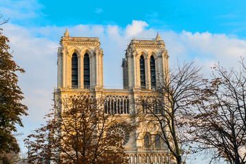 Fototapeta na wymiar Notre Dame de Paris cathedral, France. Wonderful gothic architecture in autumn. Frontal view