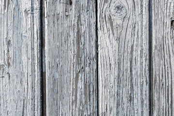 Naklejka premium Aged painted cracked boards with peeling paint. Old natural grunge textured wooden texture. Weathered wood wall for design closeup. Rustic background