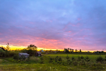 Obraz premium The colorful colors of nature in warm summer
