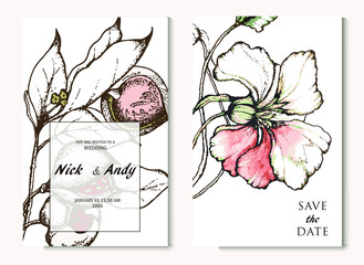Herbal illustration on label packaging design. Hand drawn vector botanic set with branch, flowers. Wedding invitation