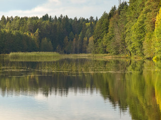summer landscape with river, green trees on shore and clouds, beautiful glare