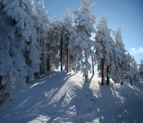 Sunny Winter Day With The Mountains Full Of Snow, Poiana Brasov, Romania, panorama