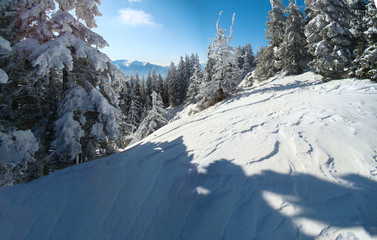 Fototapeta na wymiar Sunny Winter Day With The Mountains Full Of Snow, Poiana Brasov, Romania, panorama