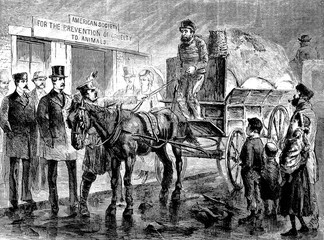 Arrested for cruelty, a vintage drawing of man on horse drawn wagon on cobblestone street, police and onlookers 1872 © hodagmedia