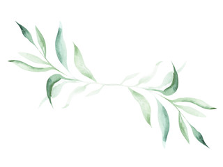 Illustration of a watercolor twig of a plant with leaves as an ornament for decoration on a white isolated background