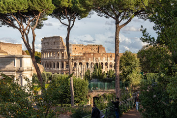 colosseum from palatine hill