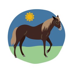 Horse on white background vector