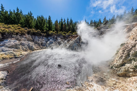 Hell's Gate, Geothermal Park, Tikitere, Rotorua, North Island, New Zealand