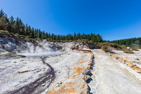 Hell's Gate, Geothermal Park, Tikitere, Rotorua, North Island, New Zealand