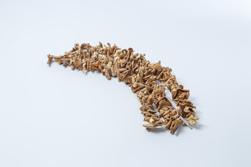 Bunch of dried mushrooms on a white background