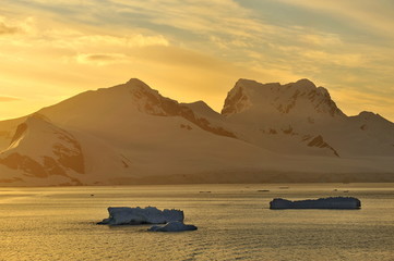 Antarctic icebergs lit by sunlight