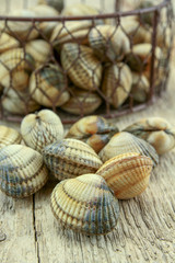 raw cockles in a basket