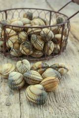 raw cockles in a basket