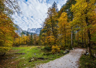 Peaceful autumn Alps mountain forest view. Near Gosauseen or Vorderer Gosausee lake, Upper Austria.