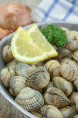 raw cockles in a dish